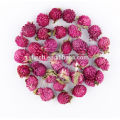 FT-004 Dried Gomphrena Globosa Wholesale Scented Flavor Flower Herbal Tea